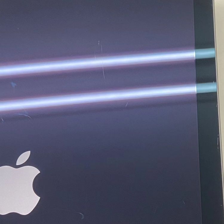 ¨��ȯ����iPad Air ��4���� Wi-Fi��ǥ� 64GB ���ڡ������쥤 MYFM2J/A