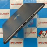 iPad mini 5 Wi-Fi+Cellular ǥ 64GB ڡ쥤 MUX