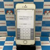 ¨��ȯ����iPhone5s 16GB ��-��� ME334J/A docomo �������