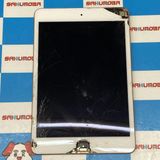 iPad mini ��5���� Wi-Fi+Cellular ��ǥ� 64GB ������� MUX72J