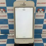 ¨ȯiPhone5 32GB С MD300J/A SoftBank