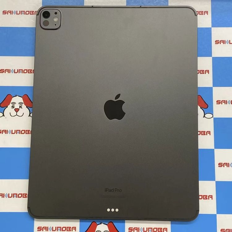 iPad Pro 13����� ��1���� Wi-Fi + Cellular 256GB ���ڡ����֥��