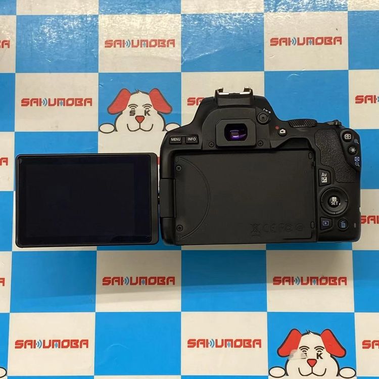 ¨ȯEOS Kiss X10 ֥륺७å ֥å EOSKISSX10BK-WKIT