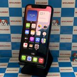 ¨ȯiPhone12 mini 128GB ֥롼 MGDP3J/A SIMե꡼
