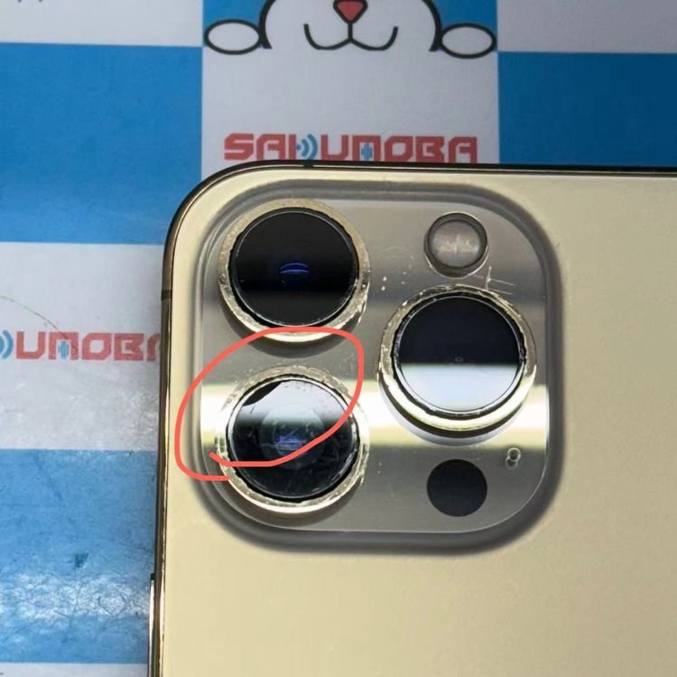 iPhone13 Pro 256GB  MLUQ3J/A docomoSIMե꡼ 