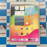 iPad Pro 10.5 Wi-Fiǥ 64GB MQDW2J/A A1701 