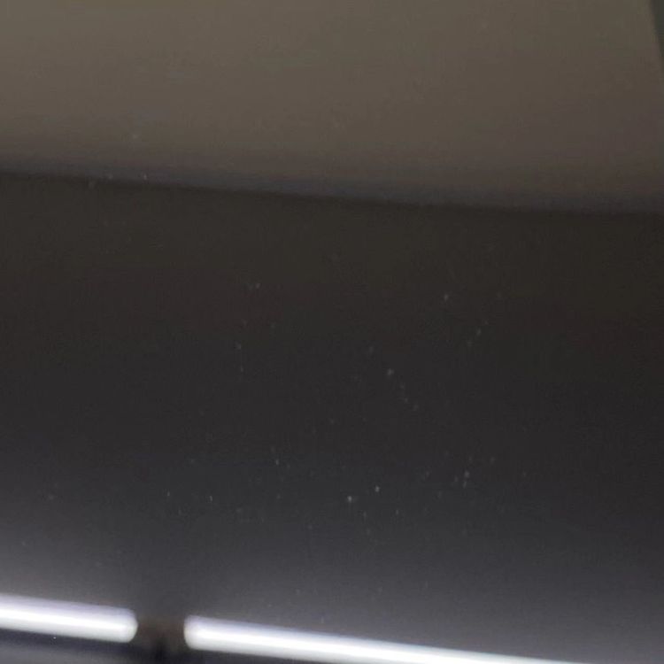 iPad ��9���� Wi-Fi+Cellular��ǥ� 64GB  MK473J/A AU��SIM��