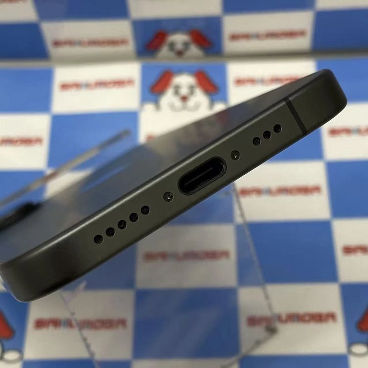 ¨��ȯ����iPhone 17 256GB �֥�å� MG674J/A SIM�ե꡼ ����