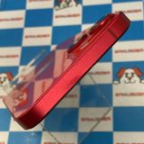 iPhone14 Plus 128GB Product Red MQ4F3 J/A SIMե꡼ 