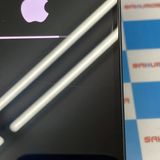 ¨��ȯ����iPhone13 mini 128GB �ߥåɥʥ��� MLJC3J/A ���ȥ���