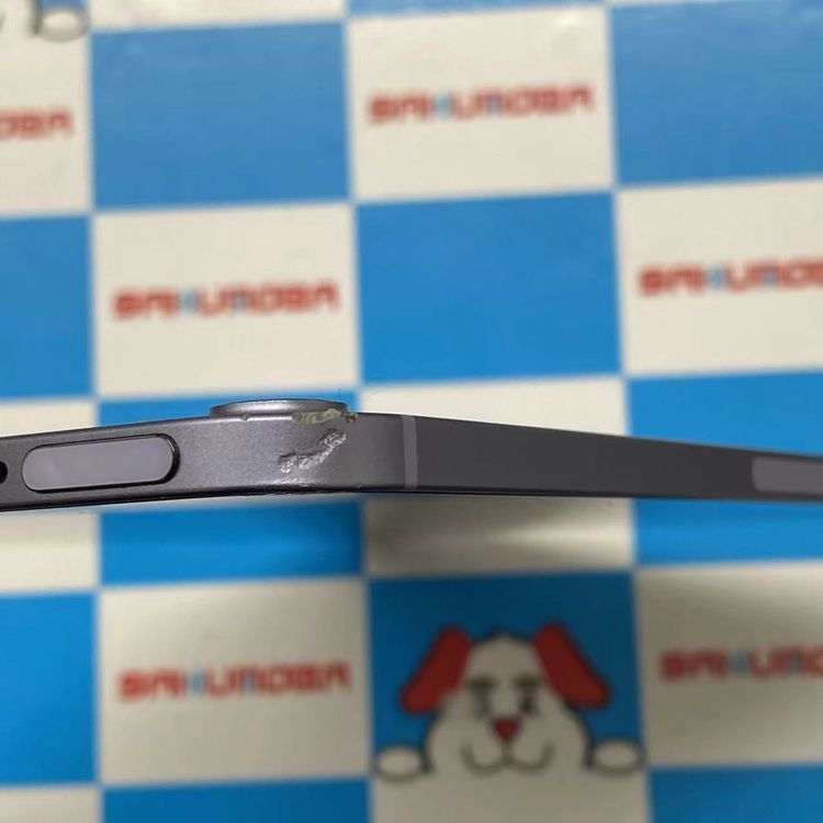 iPad mini ��6���� Wi-Fi+Cellular��ǥ� 256GB �ѡ��ץ� MK8K3J