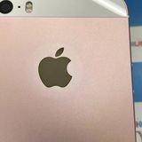 ¨��ȯ����iPhoneSE 64GB ������������� MLXQ2J/A SIM�ե꡼ ��������