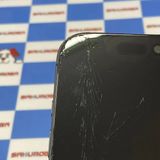 ¨��ȯ����iPhone 17 512GB �֥�å� MG6D4J/A AU��SIM�ե꡼ �������