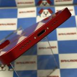 iPhone14 256GB Product Red MPWG3J/A SoftBank��SIM�ե�