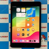 iPad mini 5 Wi-Fi+Cellular ǥ 64GB ڡ쥤 MUX