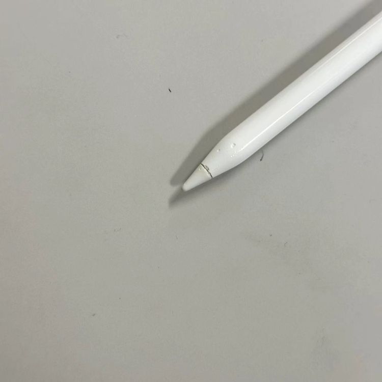 ¨��ȯ����Apple Pencil ��1���� ɸ�५�顼 A1603