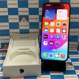 ¨��ȯ����iPhone15 Pro 256GB �֥롼�����˥��� MTUG3J/A SIM�ե꡼