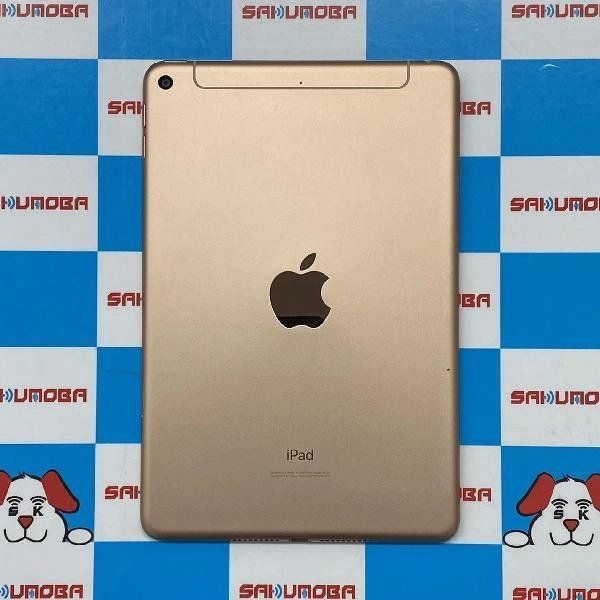 iPad mini 5 docomoSIMե꡼ 64GB MUX72J/A A2124
