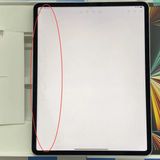 iPad Pro 12.9����� ��5���� Wi-Fi+Cellular ��ǥ� 256GB �����