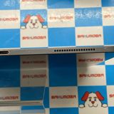 iPad Pro 12.9 3 Wi-Fiǥ 64GB ڡ쥤 MTEL2L