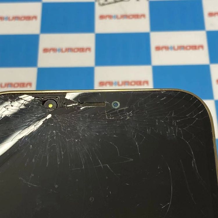 iPhone12 Pro Max 256GB ������� MGD13J/A docomo��SIM�ե꡼