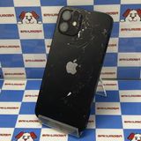 iPhone12 64GB �֥�å� MGHN3J/A docomo��SIM�ե꡼ �������