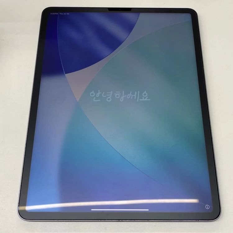 iPad Pro 12.9����� ��6���� Wi-Fi��ǥ� 128GB ���ڡ������쥤 MNXP3
