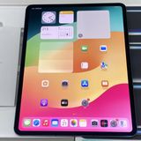 iPad Pro 13インチ 第1世代 Wi-Fi + Cellular 256GB MVXR3J/