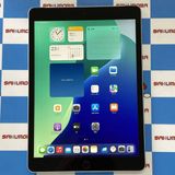 iPad ��9���� Wi-Fi+Cellular��ǥ� 64GB ����С� MK493J/A SIM