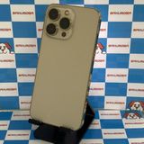 iPhone13 Pro 256GB ������� MLUQ3J/A docomo��SIM�ե꡼�����