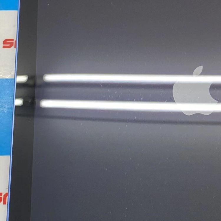 ¨ȯiPad 10 Wi-Fiǥ 256GB ֥롼 MPQ93CH/A 