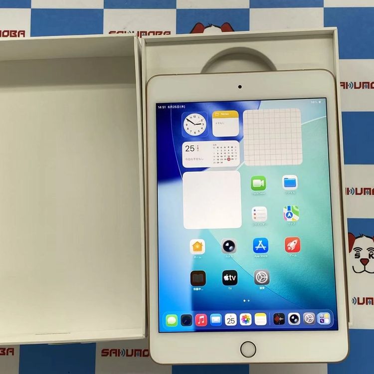 iPad mini ��5���� Wi-Fi+Cellular ��ǥ� 64GB ������� MUX72J