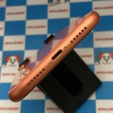 ¨ȯiPhoneXR 128GB  MT072LL/A SIMե꡼ 