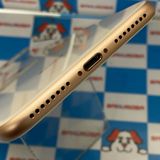 ¨ȯiPhone8 Plus 64GB  MQ9M2J/A SIMե꡼ 