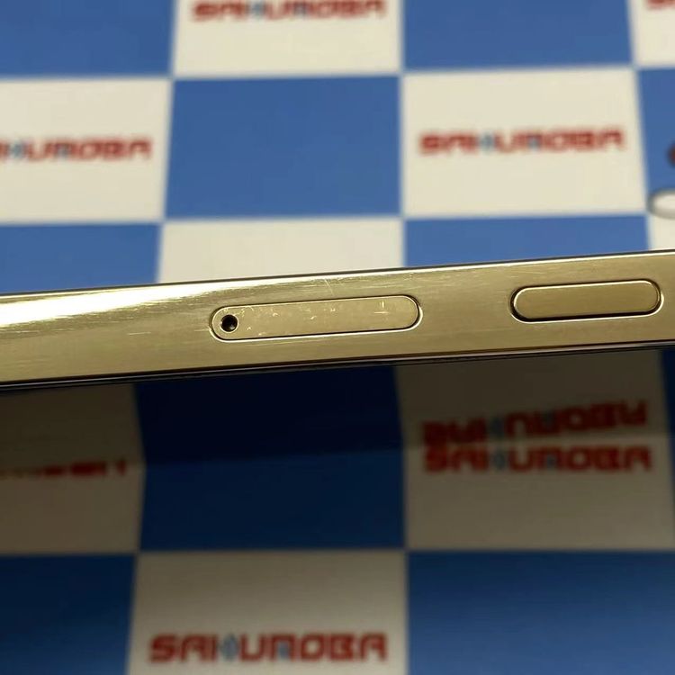 iPhone13 Pro Max 128GB ������� MLJ63J/A docomo��SIM�ե꡼