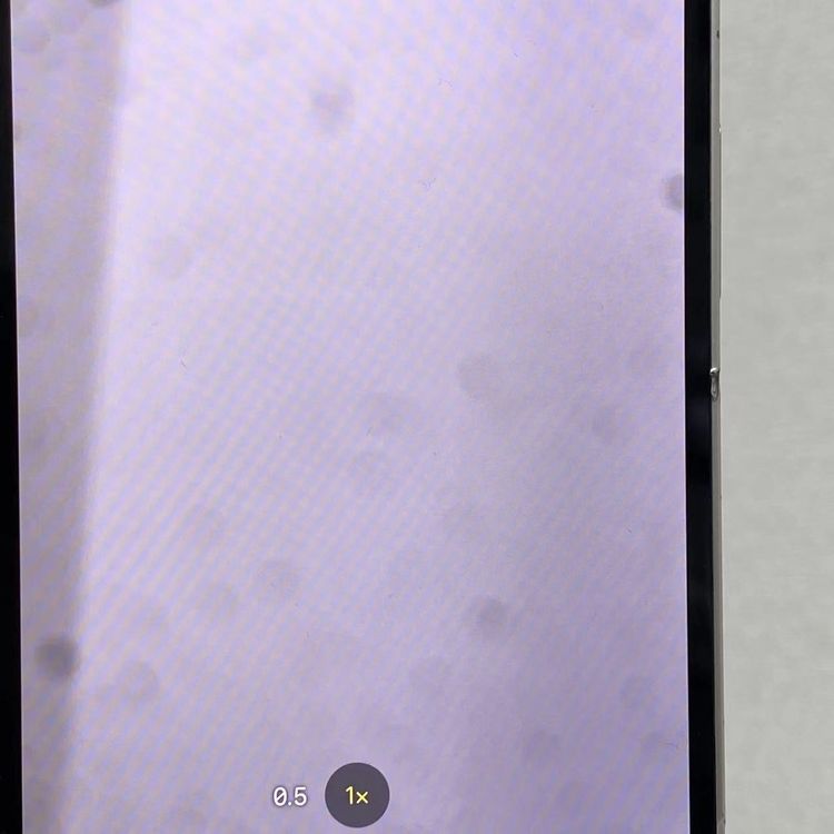 ¨��ȯ����iPhone12 64GB �ۥ磻�� MGHP3J/A SoftBank��SIM�ե꡼