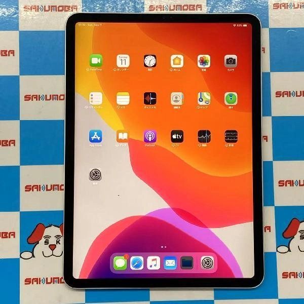iPad Pro 11 1 Wi-Fiǥ 64GB MTXP2J/A A1980