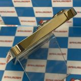 iPhone13 Pro 256GB  NLUQ3J/A docomo��SIM�ե꡼��̤����