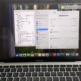 MacBook Air 13����� Late2020 Apple M1(CPU:8C/GPU:8C)