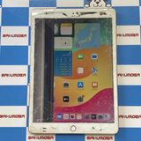 ¨��ȯ����iPad ��7���� Wi-Fi��ǥ� 32GB ������� MW762J/A�������
