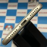 ¨ȯiPhoneSE 3 128GB 饤 MMYG3J/A SIMե꡼