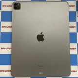 iPad Pro 12.9����� ��6���� Wi-Fi��ǥ� 256GB ���ڡ������쥤 MNXR3