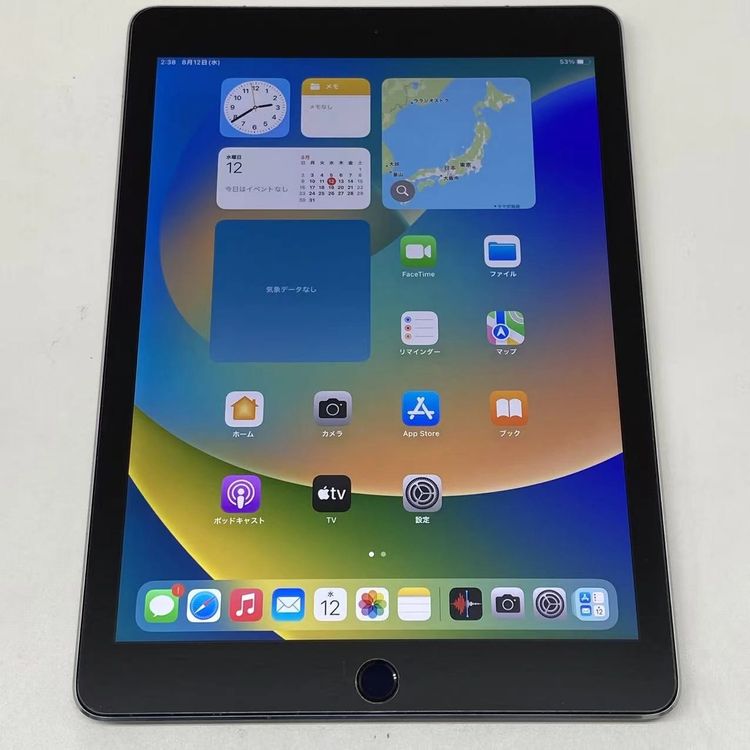 iPad Pro 9.7����� Wi-Fi+Cellular 256GB ���ڡ������졼 MLQ62