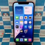 ¨ȯiPhone12 256GB PRODUCT RED MGJ23J/A SIMե꡼