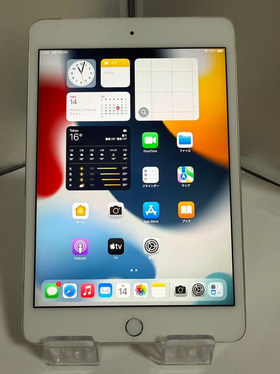 �ڽ���206�����ʡ�iPad mini ��4���� 16GB Cellular��ǥ�