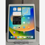 iPad Pro 12.9 1 32GB С Wi-Fiǥڲ̷ϳ