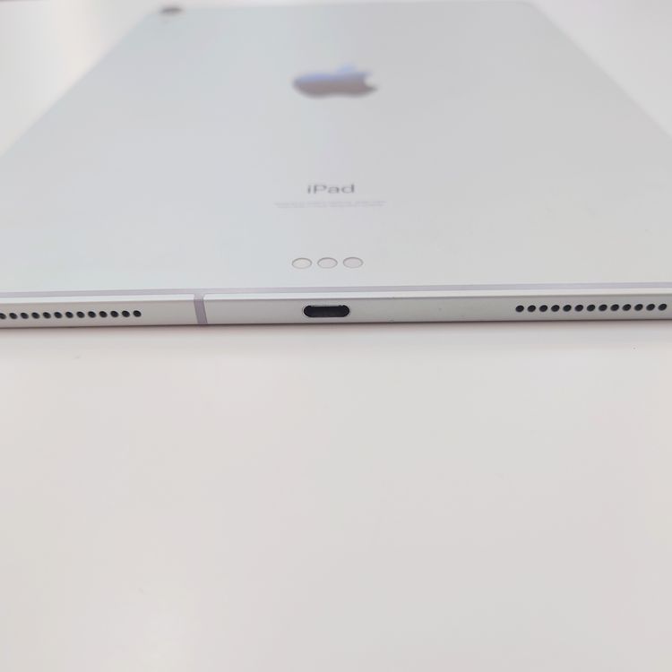 �ڽ���Ź���ݺѡ� iPad Pro 11����� 64GB ����С�