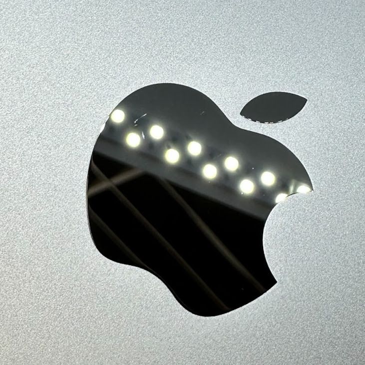 �ڥХåƥ꡼98%��iPadAir��13�������6���塡Wi��Fi��256GB���֥롼