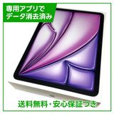 ڥХåƥ꡼100%iPadAir117塡WiFi256GBѡץ