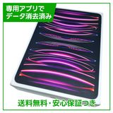 ڥХåƥ꡼99%iPadPro114塡WiFi256GBڡ쥤